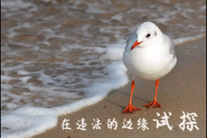 中本聰和澳本聰以及BSV那些事，奧本聰的100萬個btc？