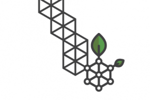 RSK的TPS是多少？若采用Lumino 技術將達到每秒多少筆交易？