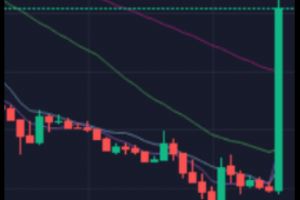 美版權局批準澳本聰是真中本聰引BSV暴漲？只是一場鬧劇