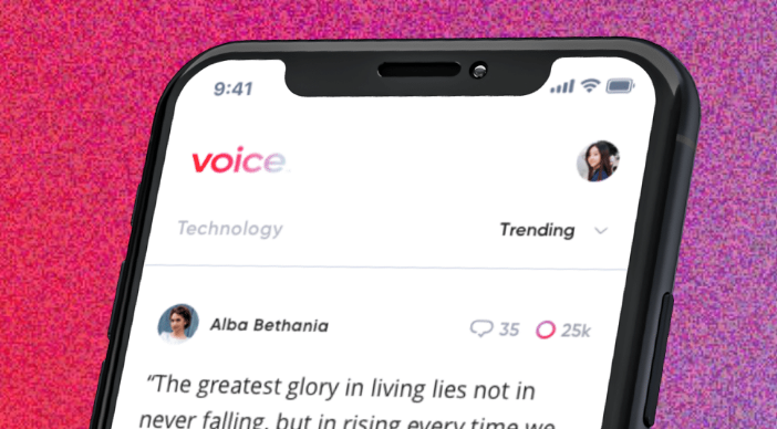 voice界面