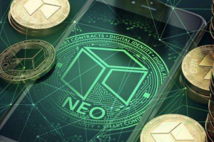 第19的NEO未來前景如何