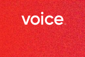 Block One發布的Voice是什么？什么國家可以注冊？需要身份認證KYC嗎？