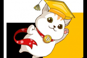 圖靈獎得主領導的區塊鏈項目+荷蘭式拍賣=資金盤騙局？