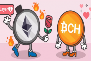 V神打算讓以太坊聯姻BCH，并正在計劃增強隱私性，ETH側鏈和匿名幣會顫抖嗎？