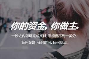 DASH達世幣的發行價成本是多少？總發行量與流通量上限