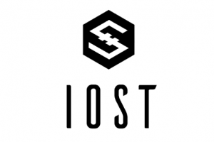 IOST的發行總量、流通量以及成本發行價格及主要投資機構