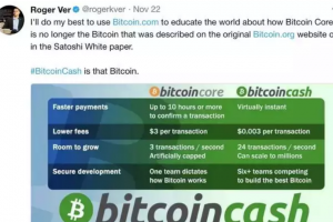 “比特幣耶穌”的 Roger Ver 和《精通比特幣》的作者 Andreas Antonopoulos