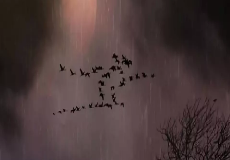 1575865064326070.png image.png