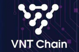 國產公鏈訪談 | VNT Chain：公鏈本身就是極具開源精神和包容精神，未來的路一定會越來越寬，越來越明朗。