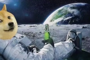 金融圈在被比特幣啪啪打臉，而我們在被狗狗幣啪啪打臉