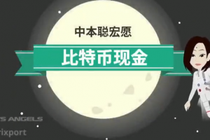 BCH的通證發行方案