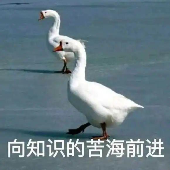【圖學院】區塊鏈與密碼學全民課堂第 10-3 講：零知識證明概念