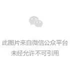 安迪·沃霍爾 NFT 首秀拍得 280 萬美元，或引爆新投資浪潮