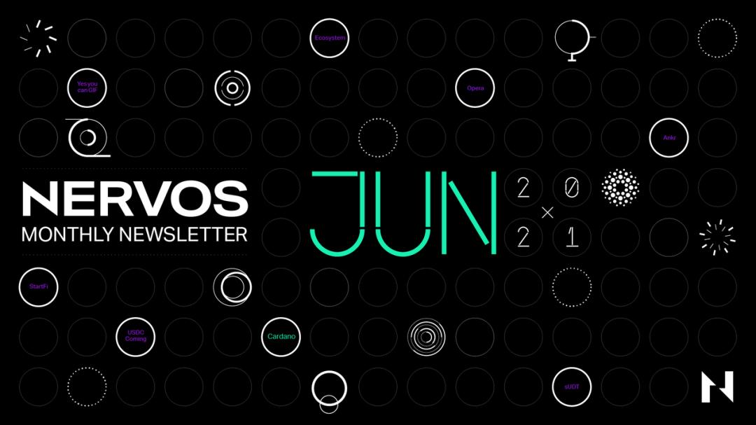 讓更多的應用綻放光芒——Nervos 6 月月報
