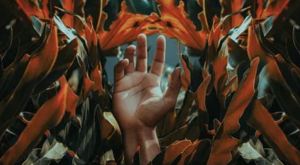1642492484438223.png image.png
