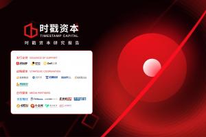 研報 | 升維：從鏈到網絡 ——可組合性，節點和價值網絡