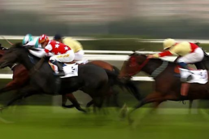 黑馬Blur"狂飆"，NFT平臺老大OpenSea要坐不住了？