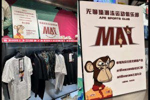 去年fomo追高猴子小圖片的各位Kol，現在虧了多少？