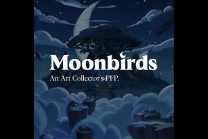 創始人親訴：讓人心灰意冷的 Moonbirds 今年都干了什么 ？