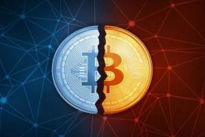比特幣、Web3 和 AI 加密貨幣會在 2024 年主導市場嗎？