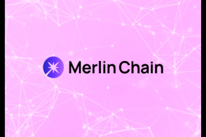 Merlin Layer2（梅林）是怎么崛起的？