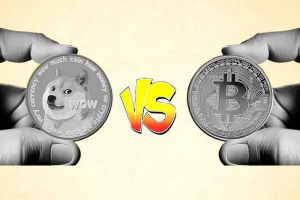 比特幣 VS. Memecoins：為什么 Memecoins 在 2024 年比比特幣更受歡迎？